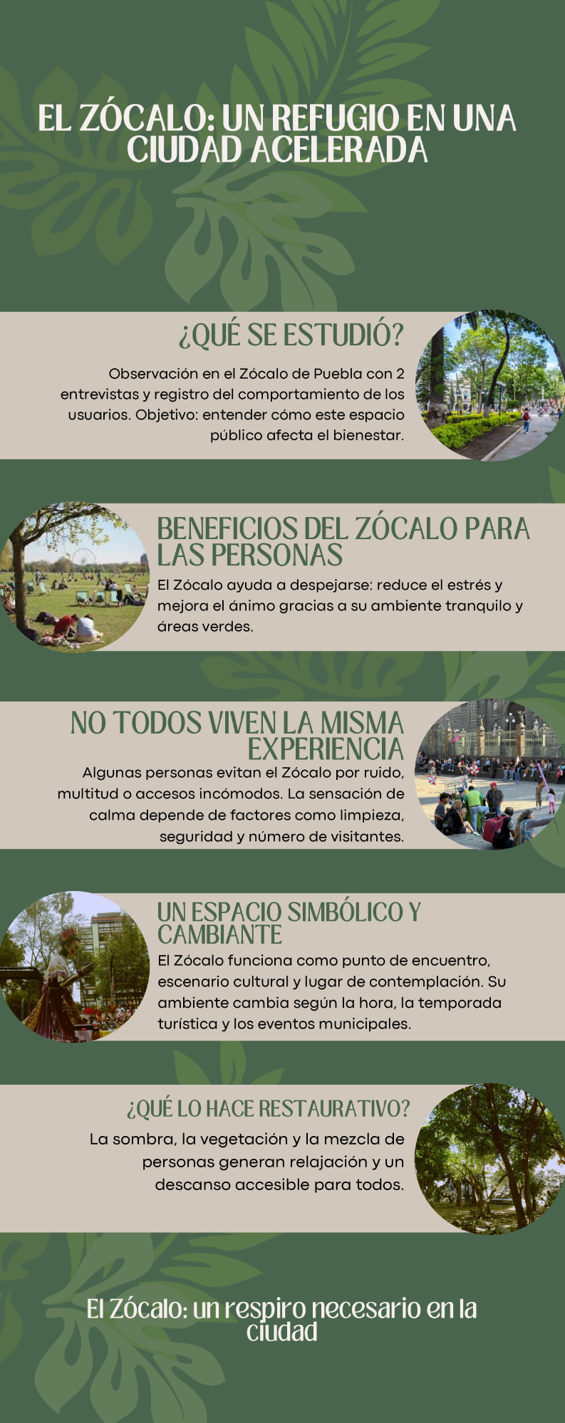 infografia del Zocalo